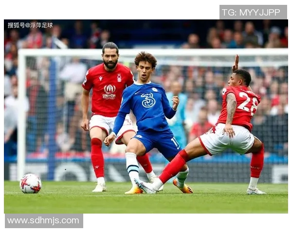 足球球星转型教练之路：从绿茵场到战术指挥台的挑战与辉煌